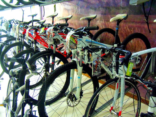 Read more about the article Enduro MTB: conheça as bicicletas adequadas e os cuidados para as trilhas